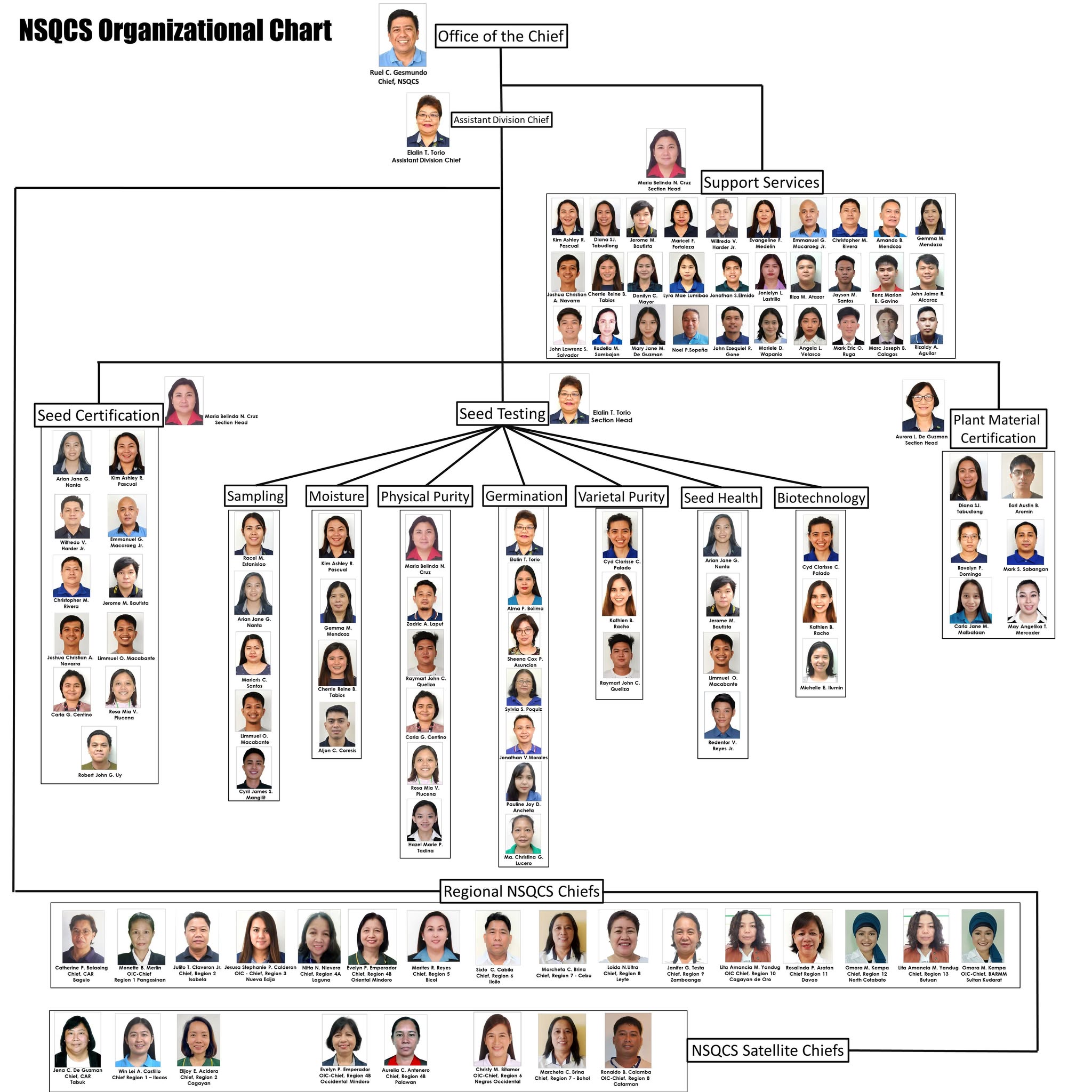 OrgChart